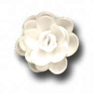 Розы малые сложные белые (40мм)
