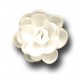 Розы малые сложные белые (40мм)