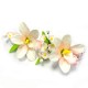 Украшение сахарное «Букет орхидеи»