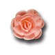 Розы малые сложные розовые (50мм)