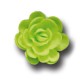 Розы малые сложные салатовые (40мм)